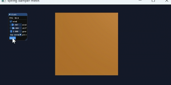 Cloth Simulation